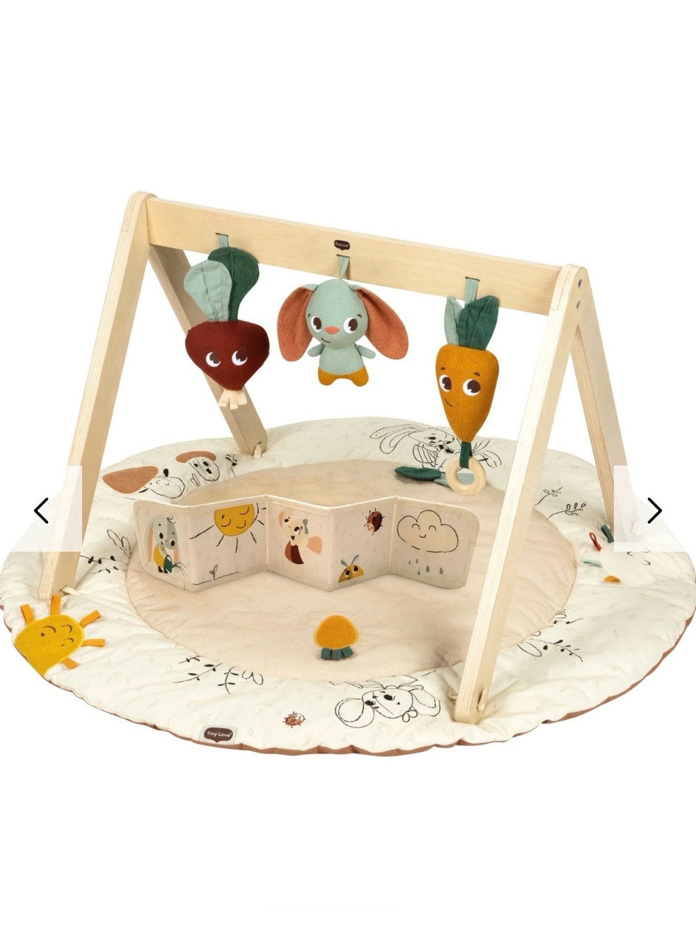 Tiny Love Gardens of Adventure, Luxe Developmental Gymini